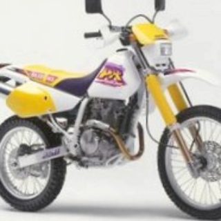 suzuki-dr250r-so-vstavnymi-zubami_1.jpg